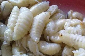 Hani specialties6