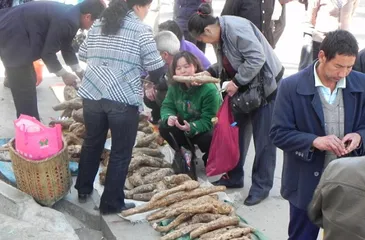 Complete Collection of Bai Traditional Festivals6