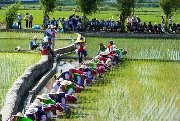 Complete Collection of Bai Traditional Festivals10