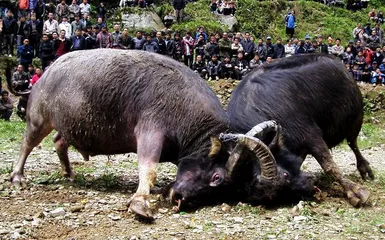 Overview of Dong traditional festivals6