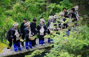 Overview of Dong traditional festivals10