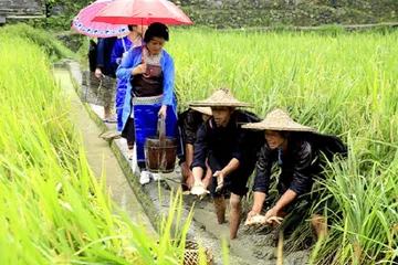 Overview of Dong traditional festivals25