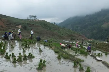 A complete collection of traditional Dai festivals8