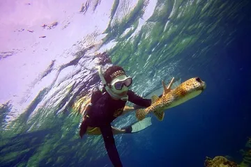 Top 10 Tourist Attractions in Maldives9