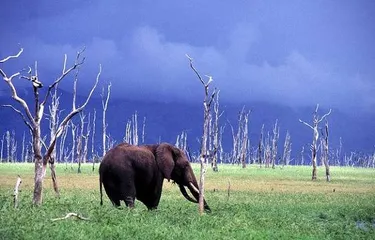 Popular tourist attractions in Zimbabwe11