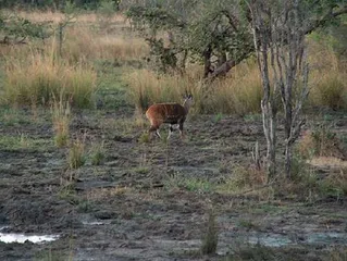Popular tourist attractions in Zimbabwe13