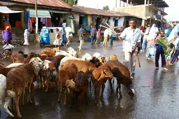 Ethiopian customs and taboos1