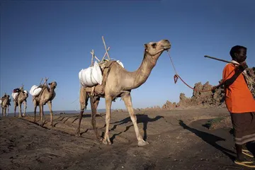 Travel guide of Djibouti5