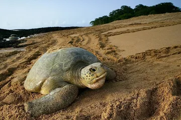 A complete list of tourist attractions in Guinea-Bissau3