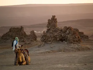 Customs and etiquette in Djibouti