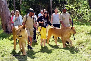 Top 10 Tourist Attractions in Mauritius3