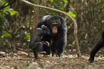 A complete list of tourist attractions in Guinea2