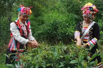 The living customs of the De 