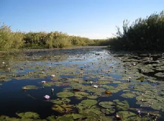 Top 10 Tourist Attractions in Zambia7