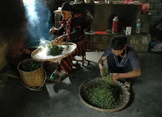 The living customs of the De 