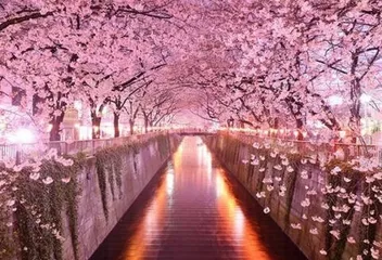 Take stock of Japan