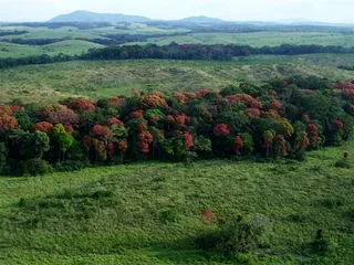 A complete list of tourist attractions in Gabon3