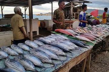 Travel guide for Comoros4