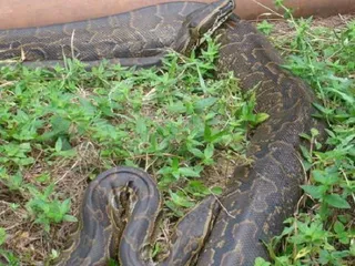 A complete list of tourist attractions in Gabon5