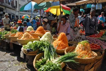 Madagascar Travel Guide4