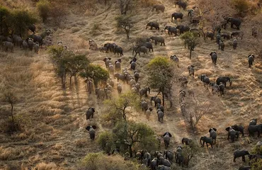 Guide to Tourist Attractions in Chad5