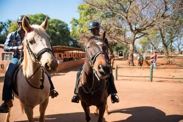 Travel Guide of Eswatini5