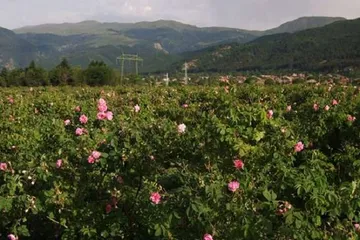 Top ten famous tourist attractions in Bulgaria4