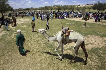 Wedding customs and culture in Niger1