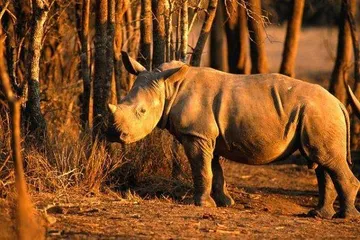 A complete list of tourist attractions in Eswatini3