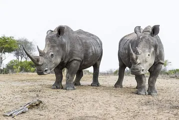 A complete list of tourist attractions in Eswatini5