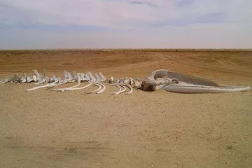 A complete list of tourist attractions in Mauritania7