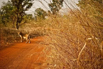A complete list of tourist attractions in Benin6