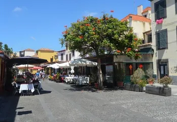 Madeira Islands Travel Guide3