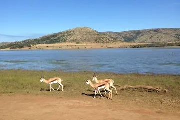 Top 10 Tourist Attractions in South Africa5