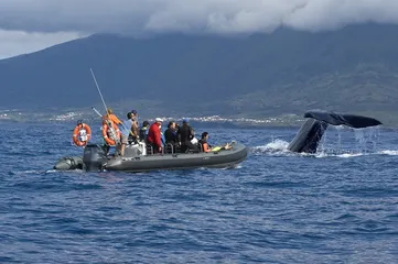 Azores Travel Guide1