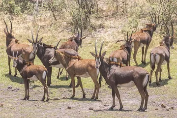 Top 10 Tourist Attractions in Namibia6
