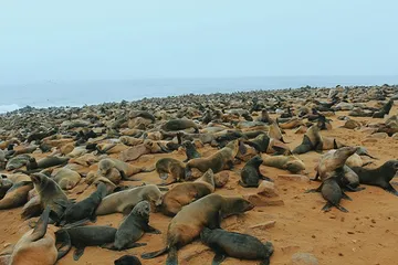 Top 10 Tourist Attractions in Namibia7