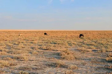 Top 10 Tourist Attractions in Namibia9