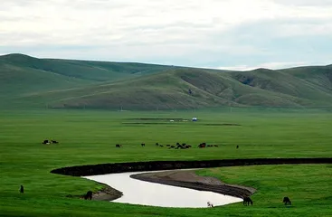 Mongolian customs and habits