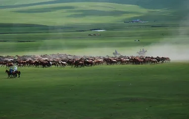Mongolian customs and habits1