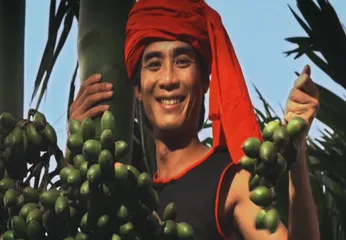 Traditional customs of the Gaoshan ethnic group in Taiwan11