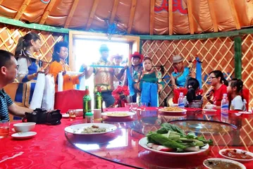 Mongolian customs and habits8