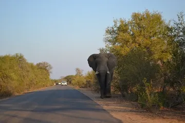 Mozambique Tourist Attractions Guide5