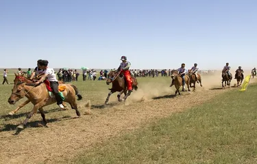 Mongolian customs and habits16