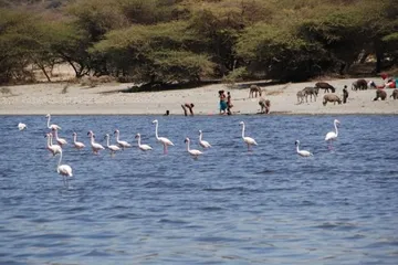 Top ten famous tourist attractions in Ethiopia5
