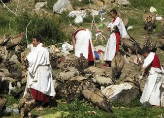 Mongolian customs and habits21