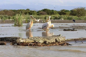 Top ten famous tourist attractions in Ethiopia8