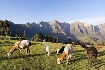Top ten famous tourist attractions in Ethiopia9