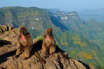 Top ten famous tourist attractions in Ethiopia10