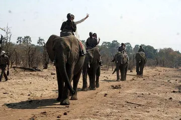 Zimbabwe Travel Guide7